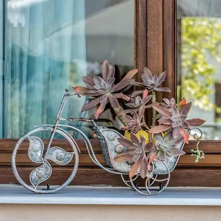 Rena's House Ferienhaus Áfissos